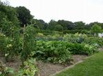 Community Garden Plots at the Aviary