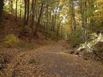Ravine Trails