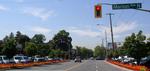 Flowers on boulevards in Westdale Village