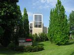 St. Mary Catholic Secondary School
