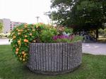 Planter on McMaster campus near the Sterling St. Entrance