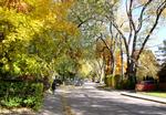 Westdale in Autumn - Cline Ave. N., north of King St. W.